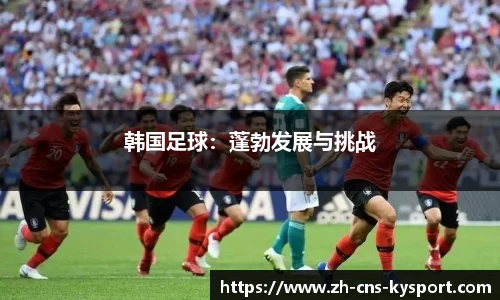 韩国足球：蓬勃发展与挑战